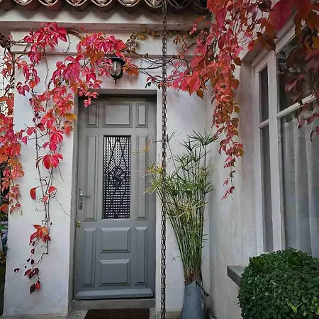 Apartment De Charme Au Pied Du Chateau *